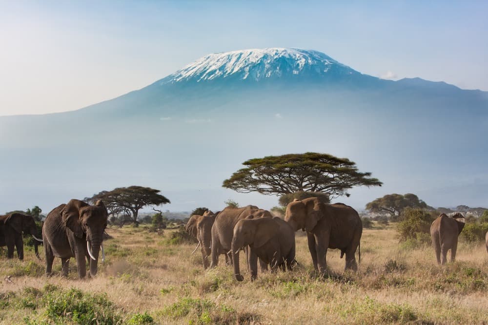 El parque nacional de Amboseli