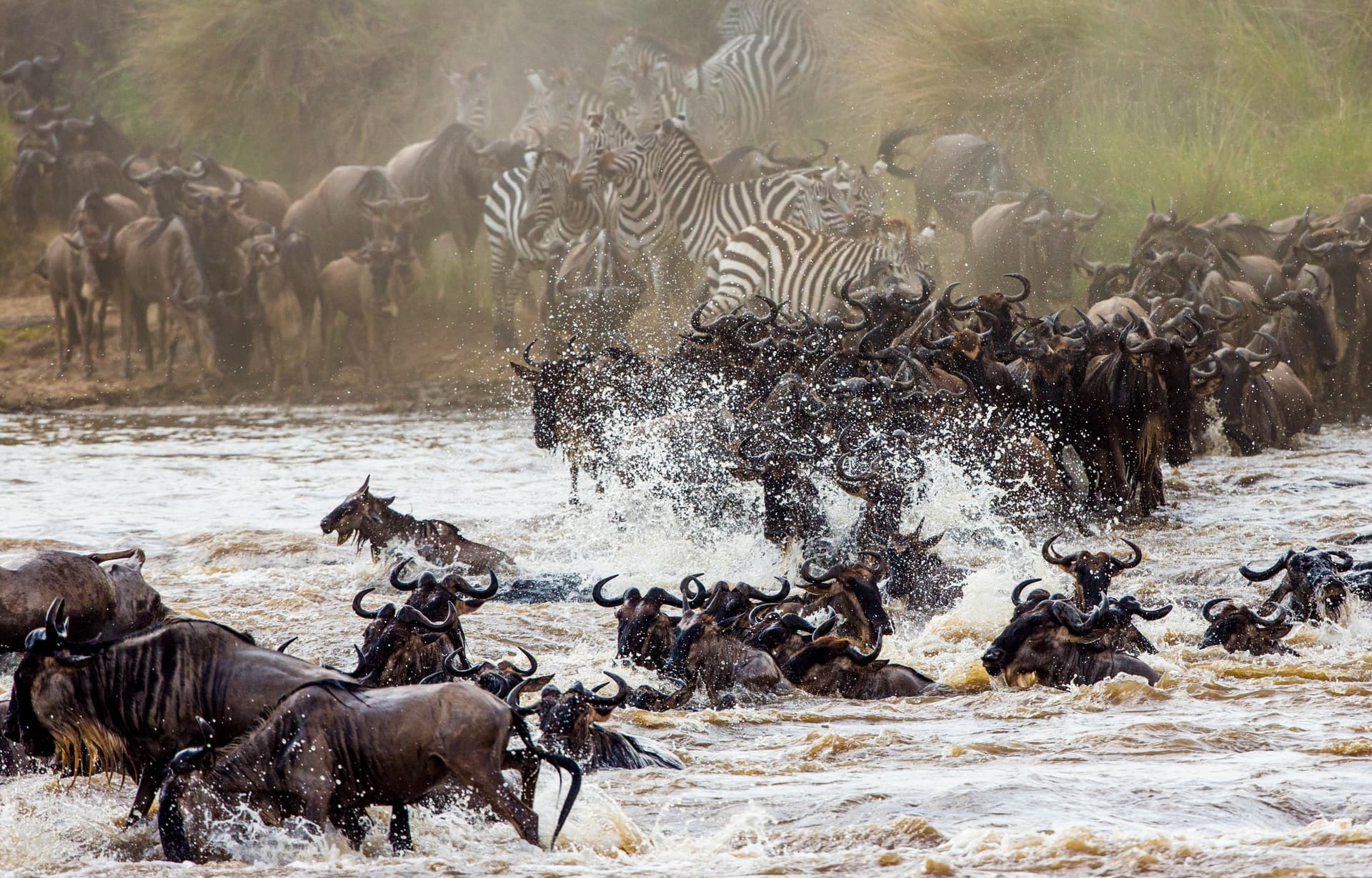 Reserva Nacional Masai Mara